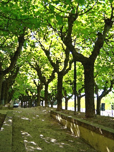 Montefalco Park